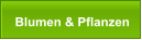 Blumen & Pflanzen