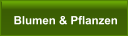 Blumen & Pflanzen